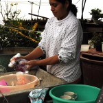 Washing the clothes